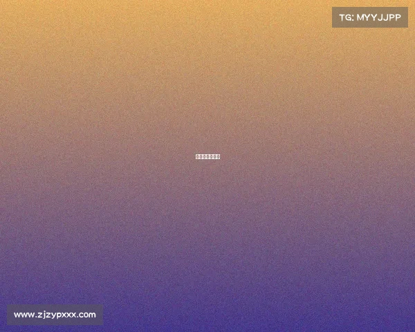 武网是什么意思